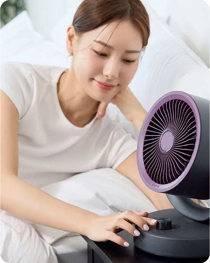 Desktop Fan